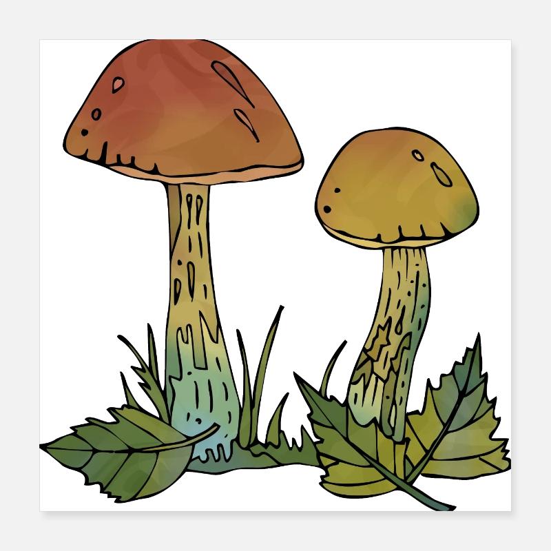 Pilze Poster 40x40 cm