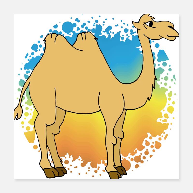 Kamel Poster 40x40 cm