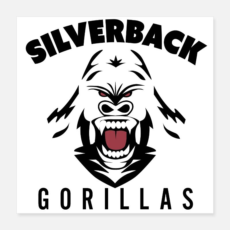 Silverback Gorillas Poster 16" x 16" (40x40 cm)