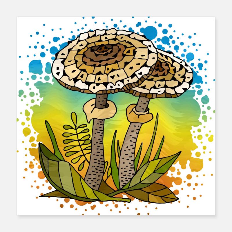 Pilze Poster 40x40 cm