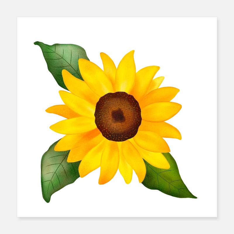Joyeuse aquarelle de tournesol peinte à la main Poster 40 x 40 cm