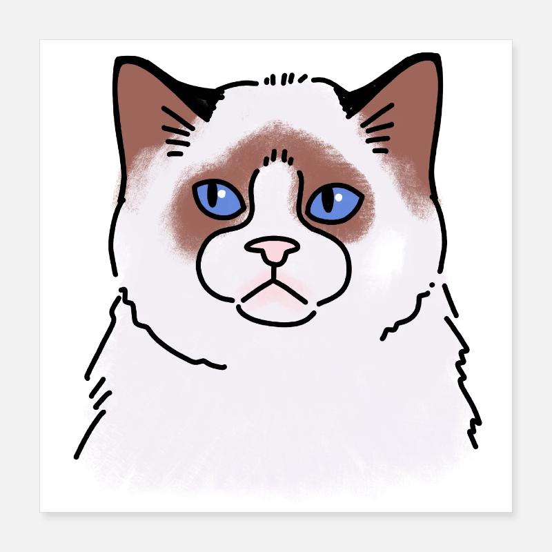 Rag doll Cat face unhappy Poster 16" x 16" (40x40 cm)