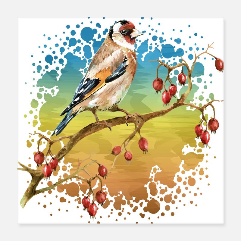 Vogel Poster 40x40 cm