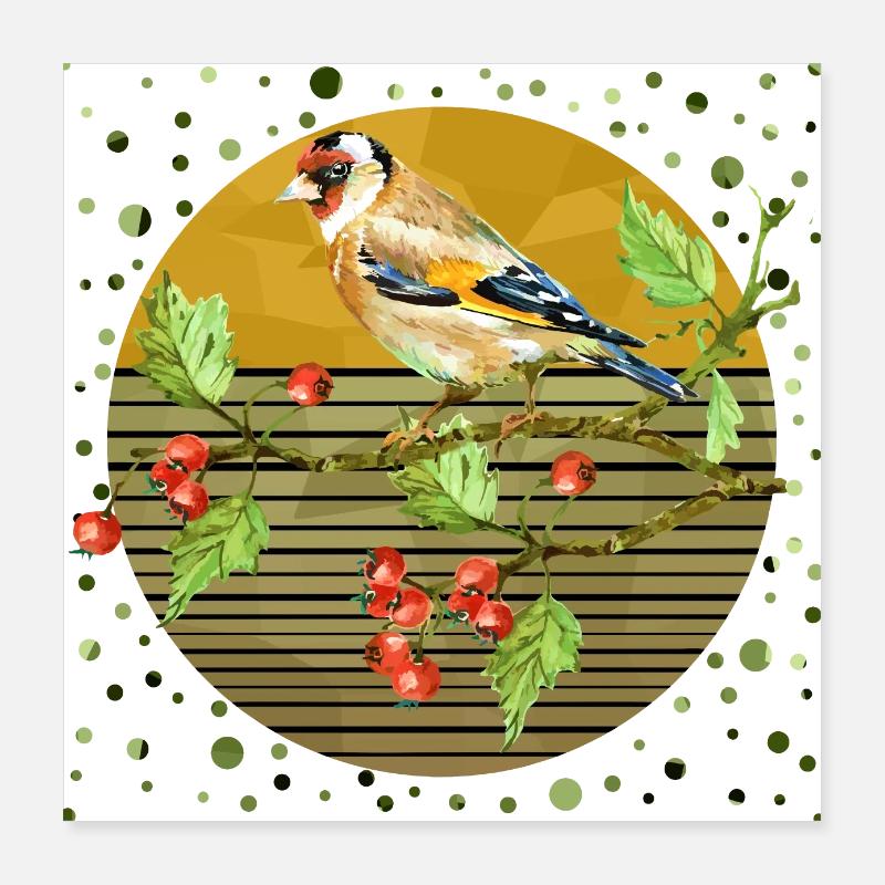 Oiseau coloré Poster 40 x 40 cm