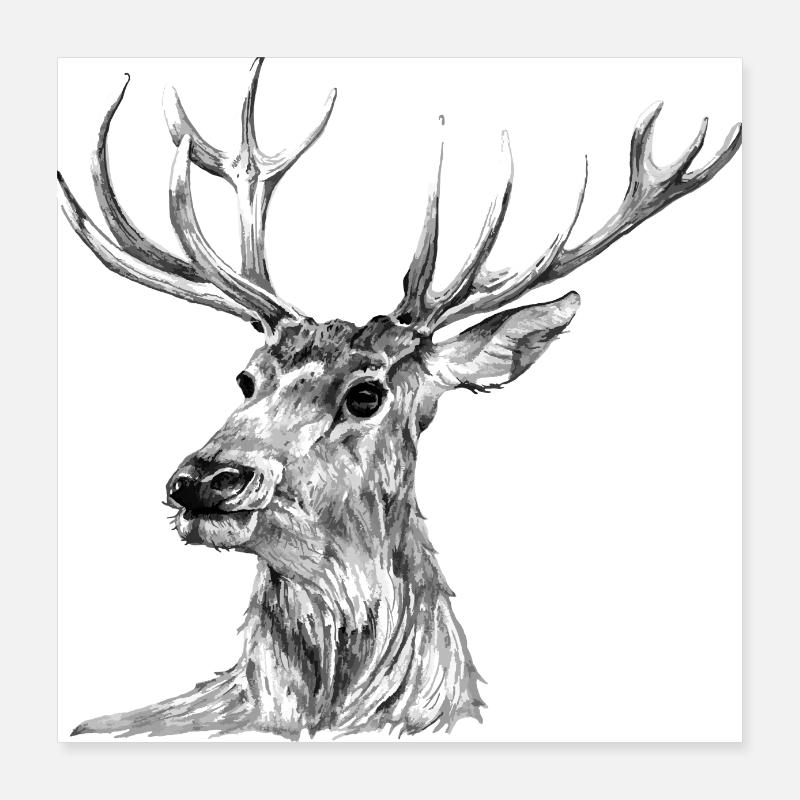 Hirsch Poster 40x40 cm