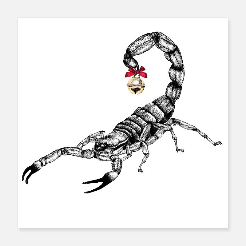 Christmas Scorpion Poster 16" x 16" (40x40 cm)
