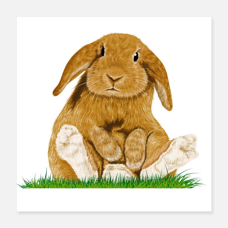 Easter Bunny Poster 16" x 16" (40x40 cm)
