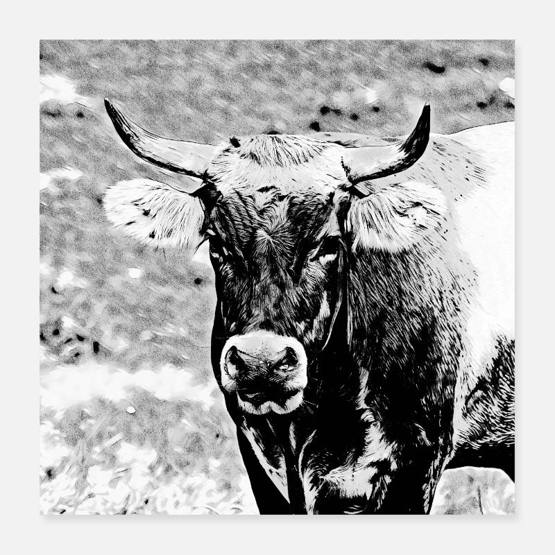 Bull Poster 16" x 16" (40x40 cm)