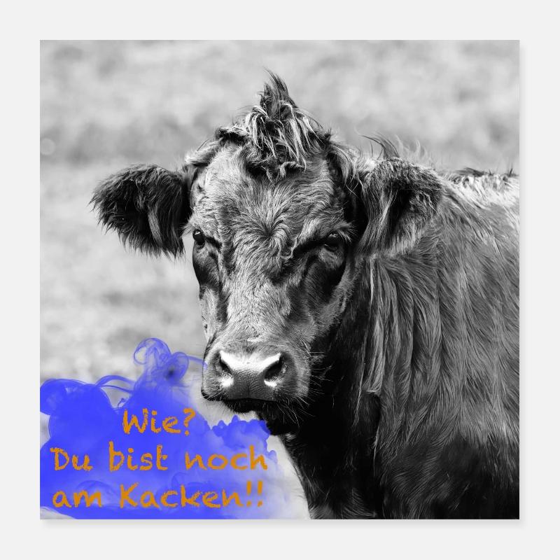 Rind mit lustigem Spruch Poster 40x40 cm