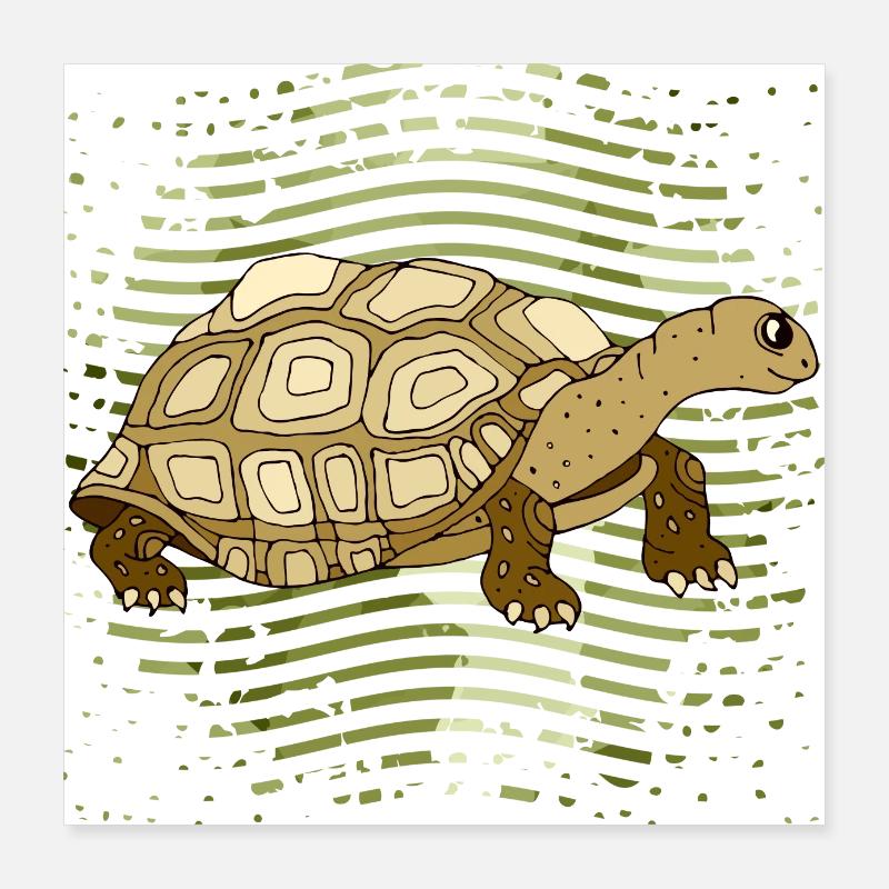 Schildkröte Poster 40x40 cm