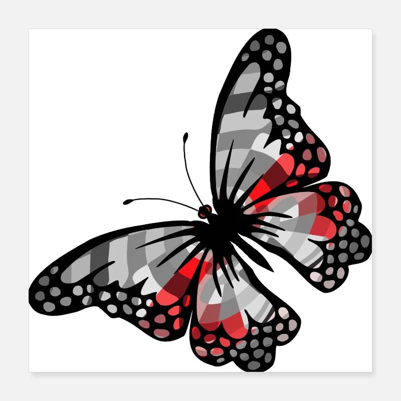 Butterfly Poster 16" x 16" (40x40 cm)