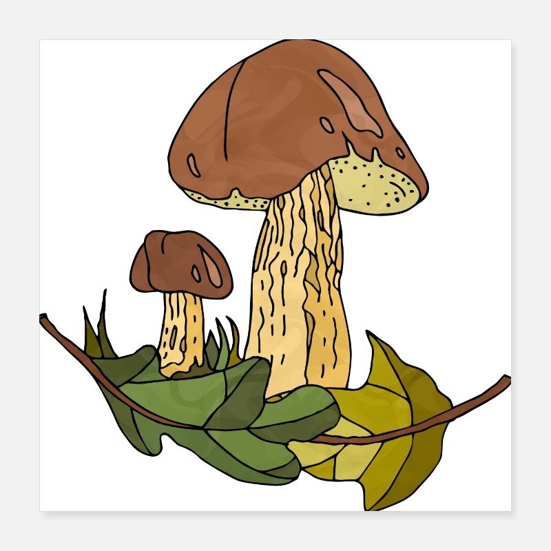 Pilze Poster 40x40 cm