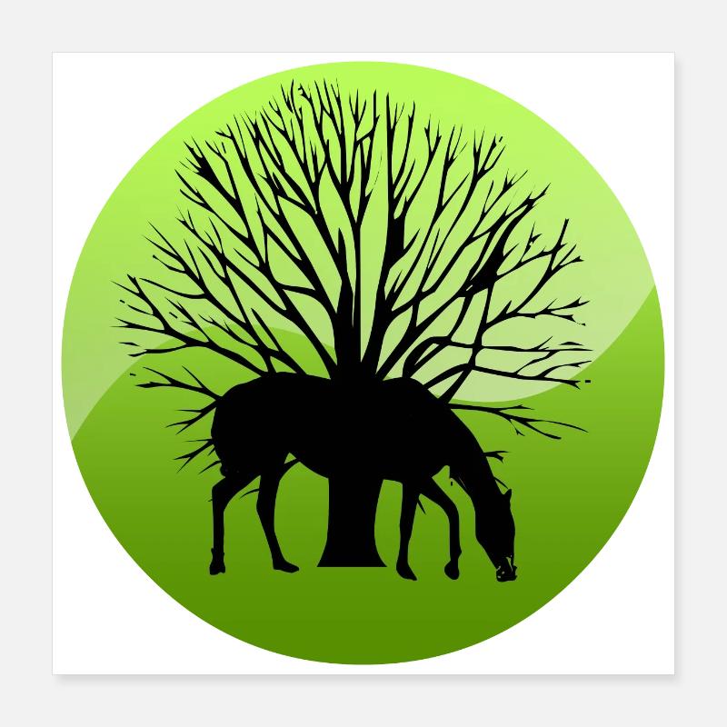 Pferd Poster 40x40 cm