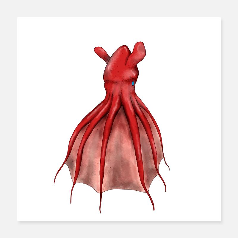 VAMPYROTEUTHIS INFERNALIS Poster 16" x 16" (40x40 cm)