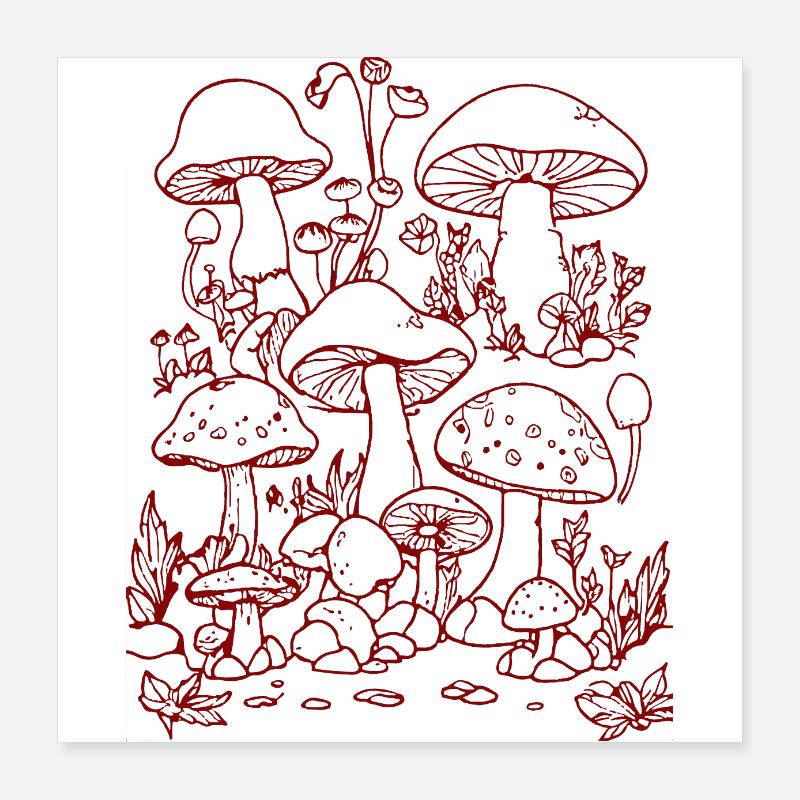 Fungi Poster 16" x 16" (40x40 cm)