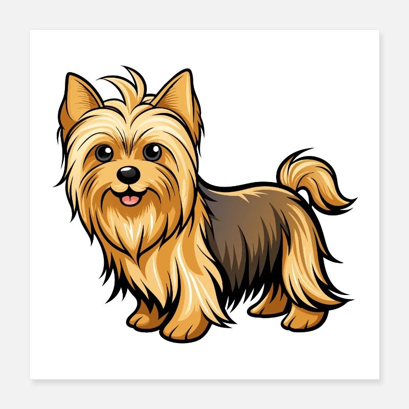 Se pavaner d’un Terrier soyeux élégant à l’exposition canine Poster 40 x 40 cm