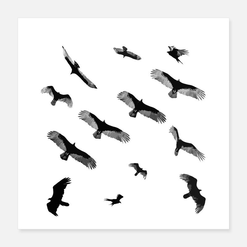 les oiseaux Poster 40 x 40 cm