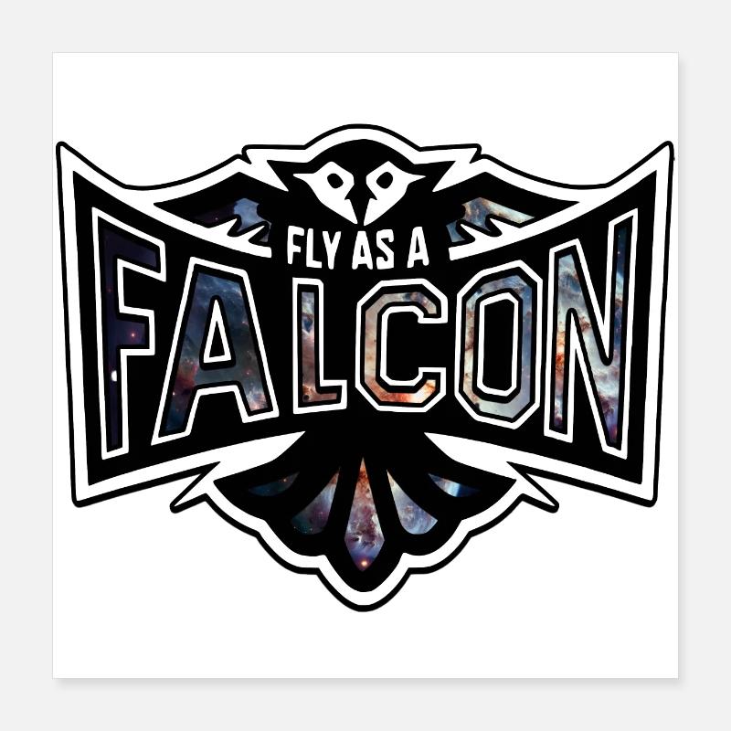 Fly As A Falcon - Cosmos Poster 16" x 16" (40x40 cm)