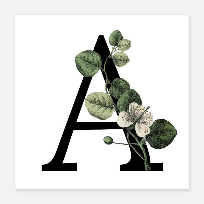 Letter A Green Botany Poster 16" x 16" (40x40 cm)