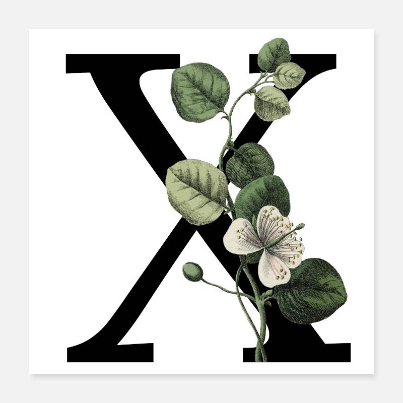 lettre x botanique vert Poster 40 x 40 cm