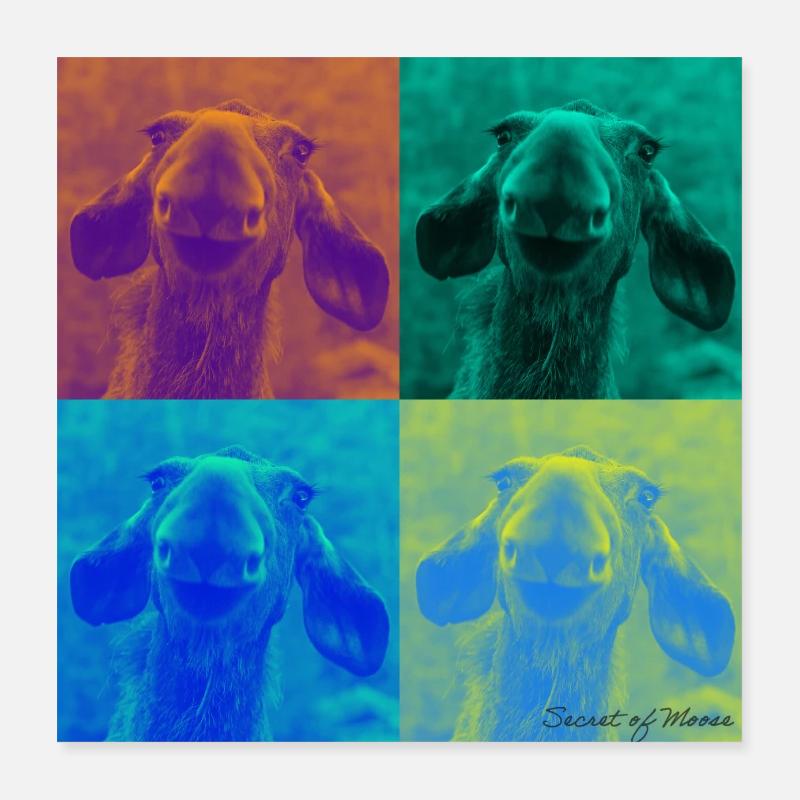 Le secret de l’orignal - Duplex Poster 40 x 40 cm