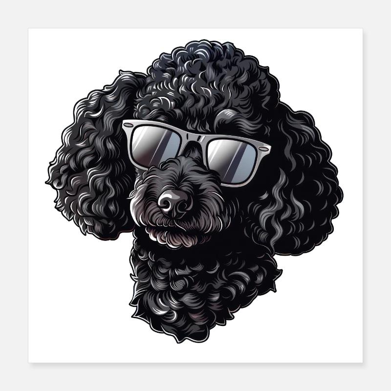 Lunettes de soleil caniche été Poster 40 x 40 cm