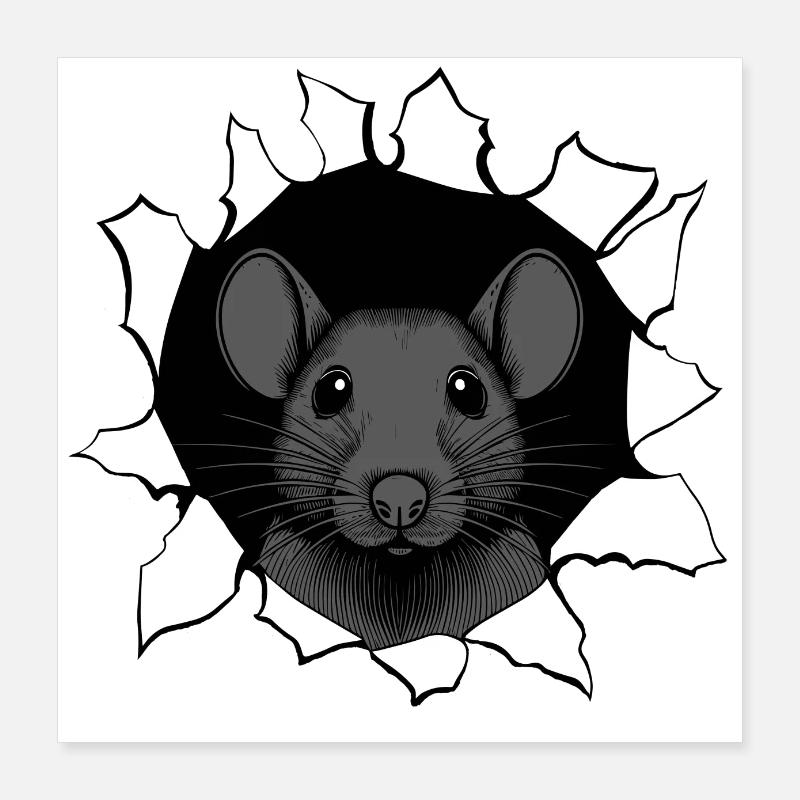 Rat regardant par un trou Poster 40 x 40 cm