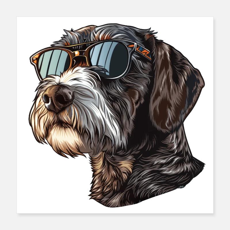 Deutsch Drahthaar, German Wirehaired Pointer, Hund Poster 40x40 cm