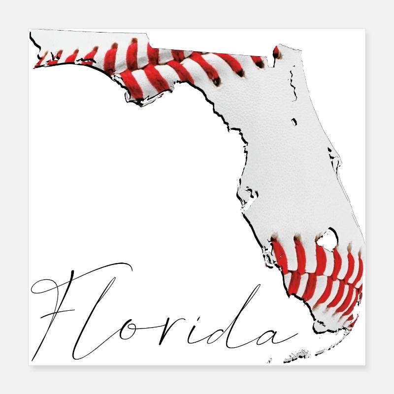 Real Baseball in Florida State Map FL Poster 16" x 16" (40x40 cm)