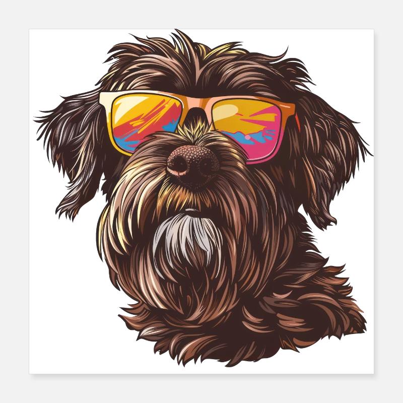 Griffon Korthals, Wirehaired Pointing Griffon Poster 40x40 cm