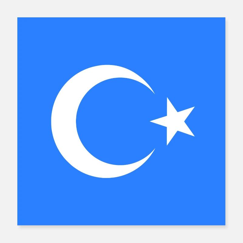 Uyghurs Poster 16" x 16" (40x40 cm)