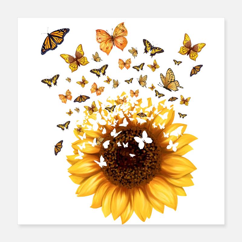 Sonnenblumen-Schmetterlinge - originelle Geschenkidee Poster 40x40 cm