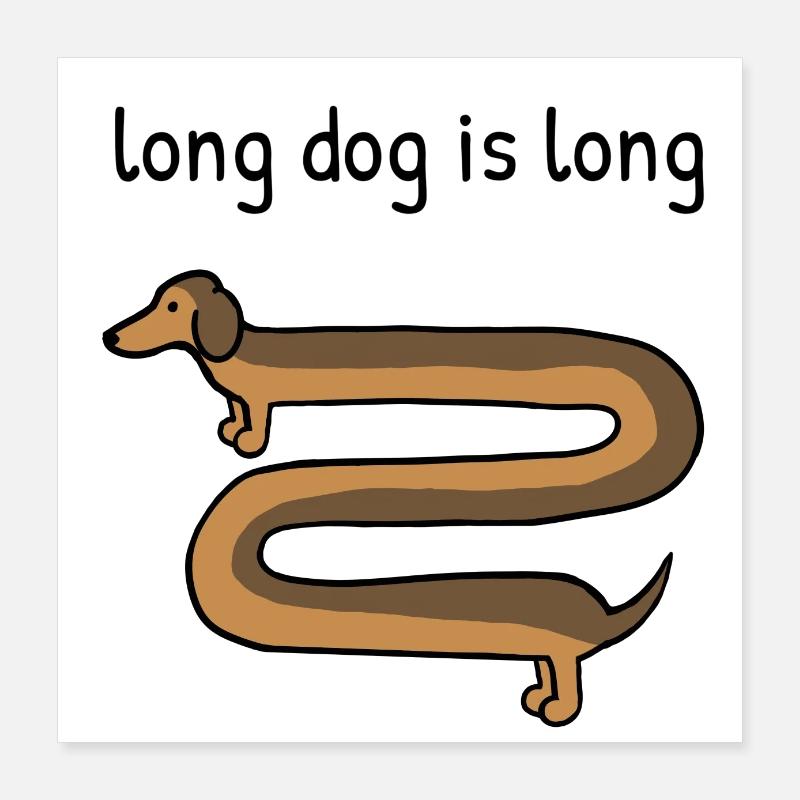 Lang hund er lang Poster 40x40 cm