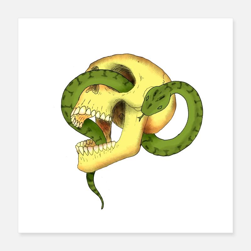 Skull with snake Poster 16" x 16" (40x40 cm)