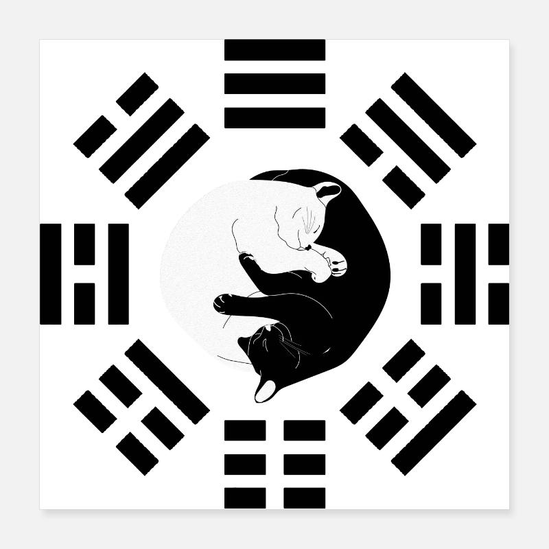 I Ging Katze Poster 40x40 cm