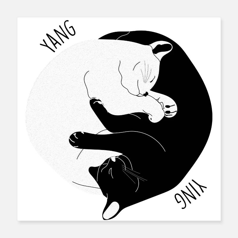 I Ching Cat Poster 16" x 16" (40x40 cm)