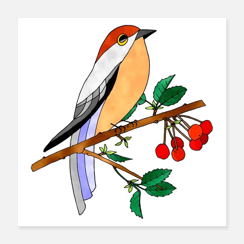 Bunter Vogel Poster 40x40 cm