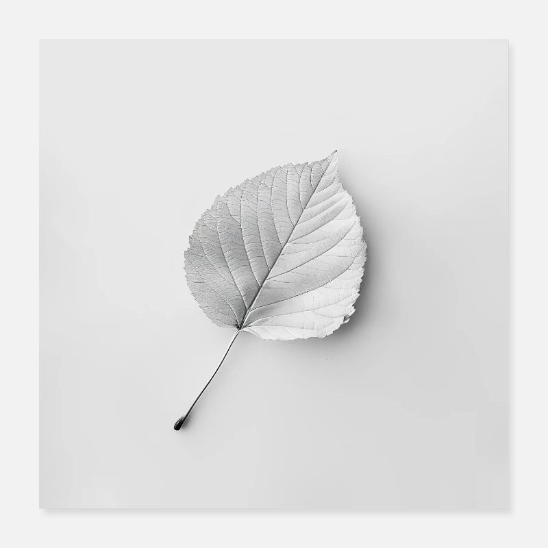 Monokrom minimalistisk plade Poster 40x40 cm