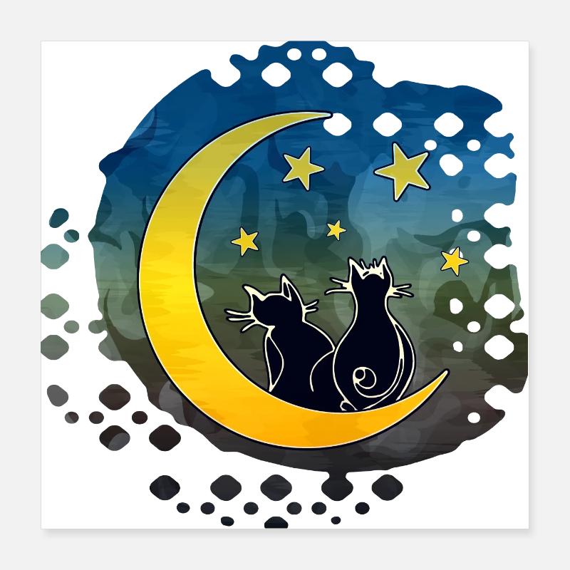 Katzen Poster 40x40 cm