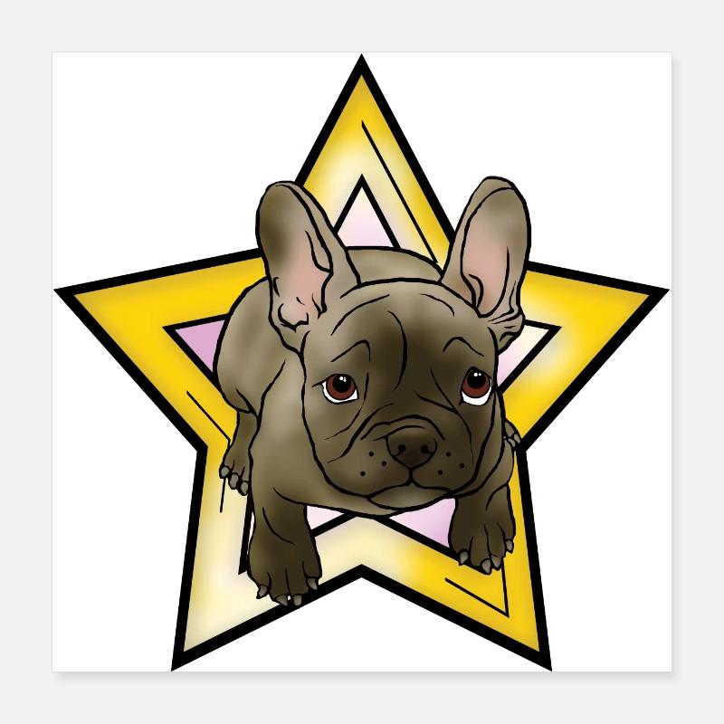 Chiot bouledogue français avec étoile Poster 40 x 40 cm