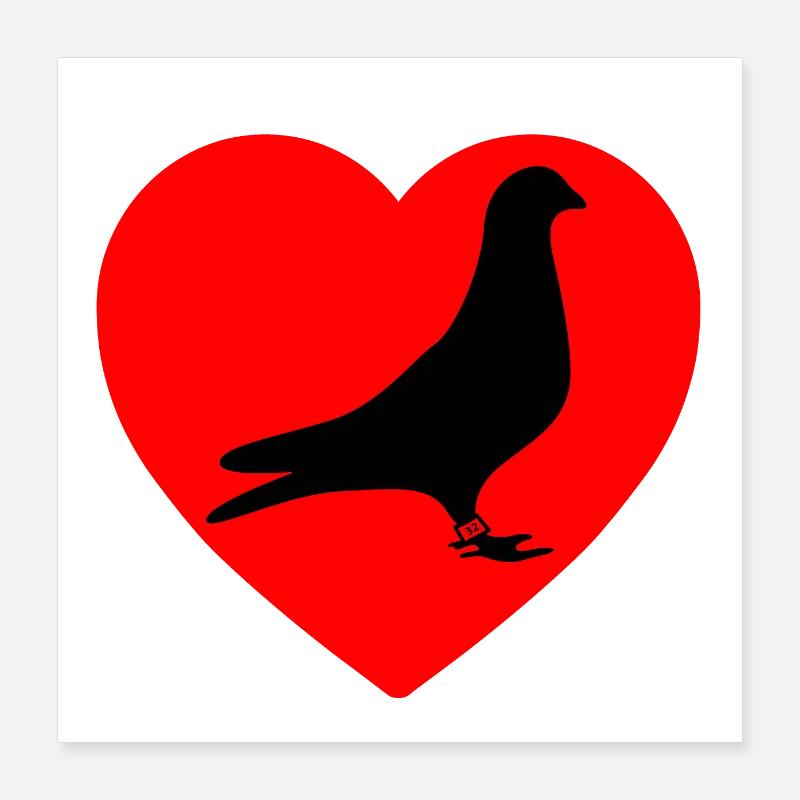 Tauben Poster 40x40 cm