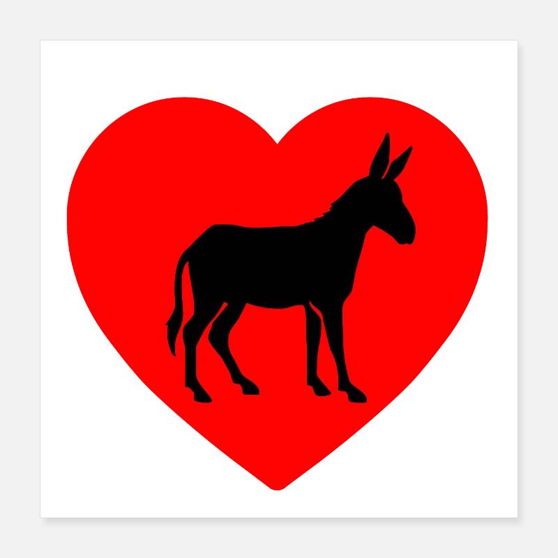 Âne Poster 40 x 40 cm