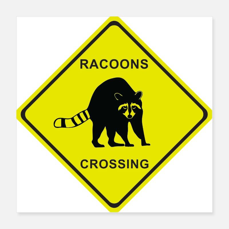 RACOONS CROSSING Poster 40x40 cm