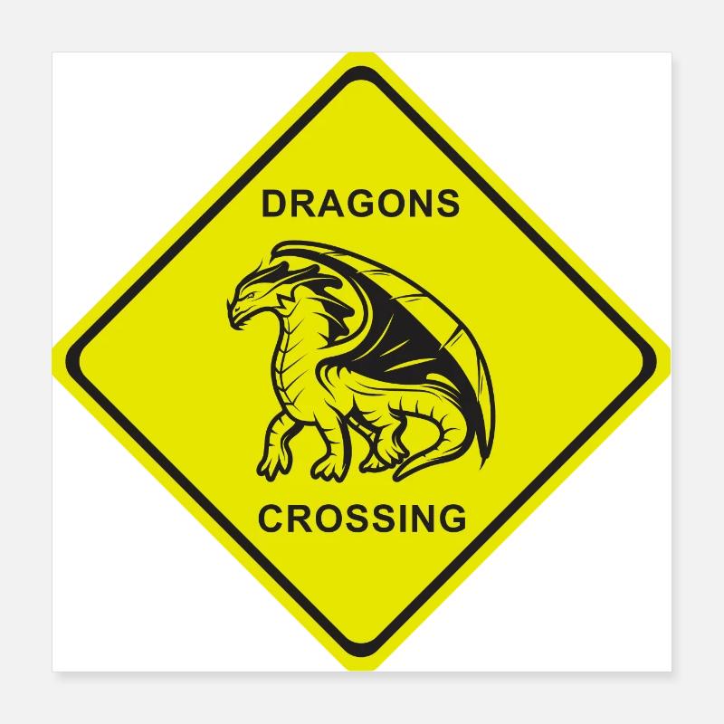 DRAGONS CROSSING Poster 40x40 cm