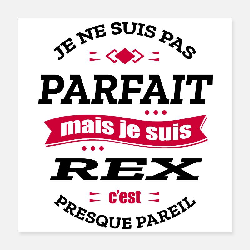 REX PARFAIT - PRENOM REX Poster 40 x 40 cm