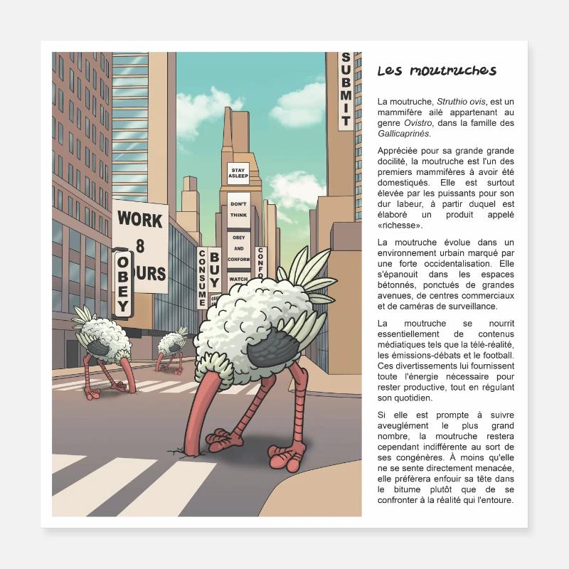 Mäuler Poster 40x40 cm