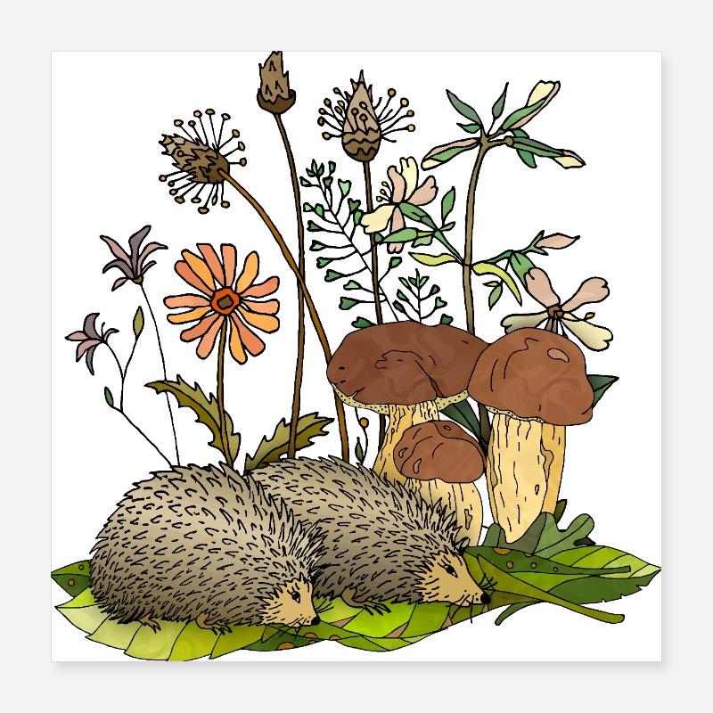 Hérissons Poster 40 x 40 cm