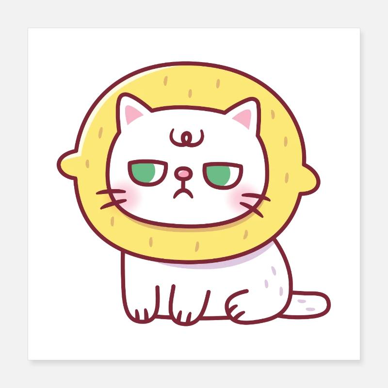 Drôle de chat avec chapeau de citron Sourpuss Poster 40 x 40 cm