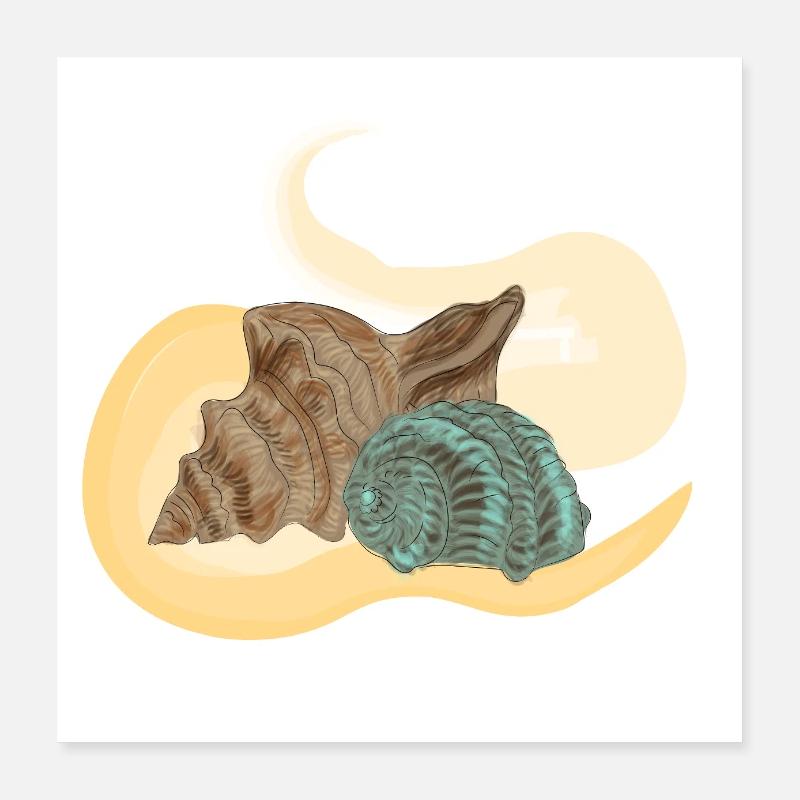 Meermuschel Poster 40x40 cm