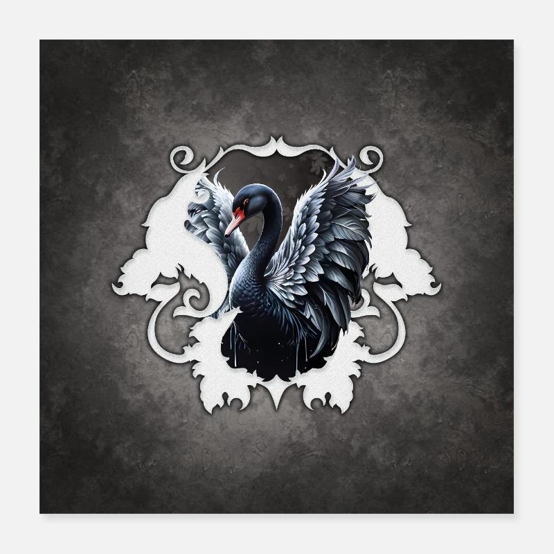 Im Schatten der Eleganz: Ein schwarzer Schwan. Poster 40x40 cm